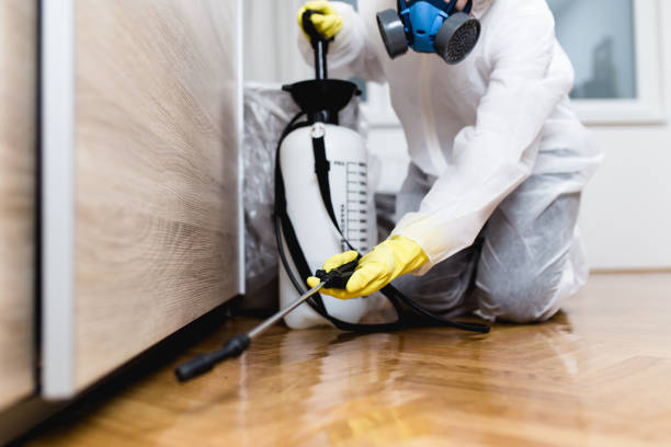 Best Best Pest Control Companies  in Dewey Humboldt, AZ