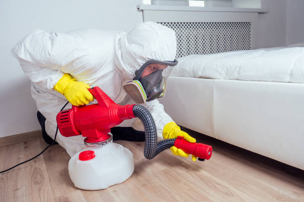 Best Flea Control Services  in Dewey Humboldt, AZ