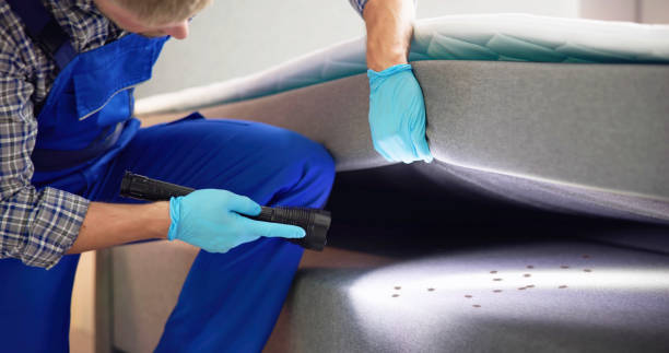Best Pest Control for Homes  in Dewey Humboldt, AZ