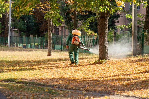 Best Local Pest Control Services  in Dewey Humboldt, AZ