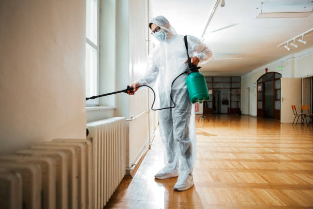 Best Pest Control Treatment  in Dewey Humboldt, AZ